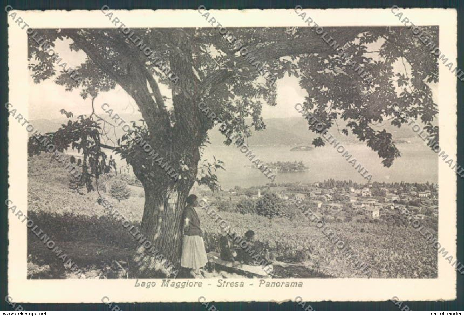 Verbania Stresa cartolina ZQ5645