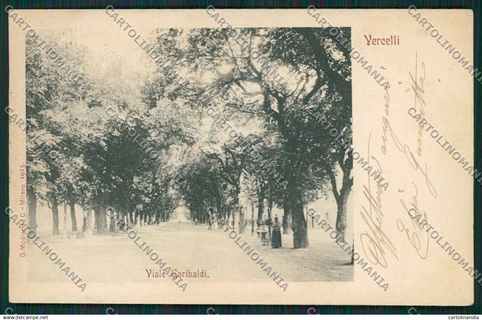 Vercelli Città cartolina ZC2341