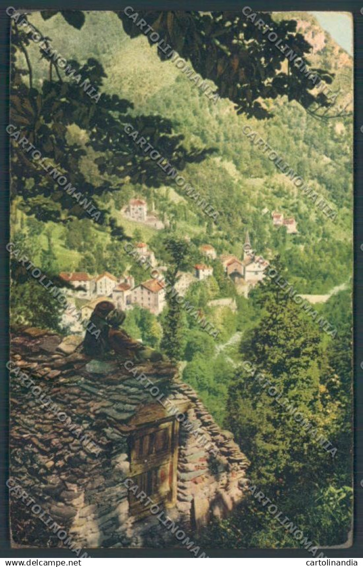 Vercelli Fobello cartolina ZT6635