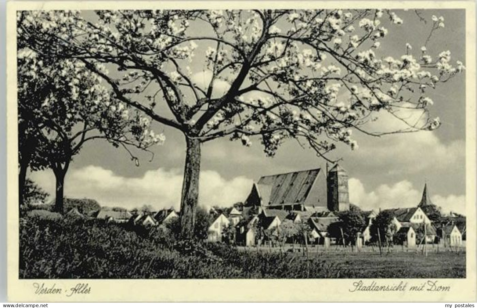 Verden Aller Verden Dom