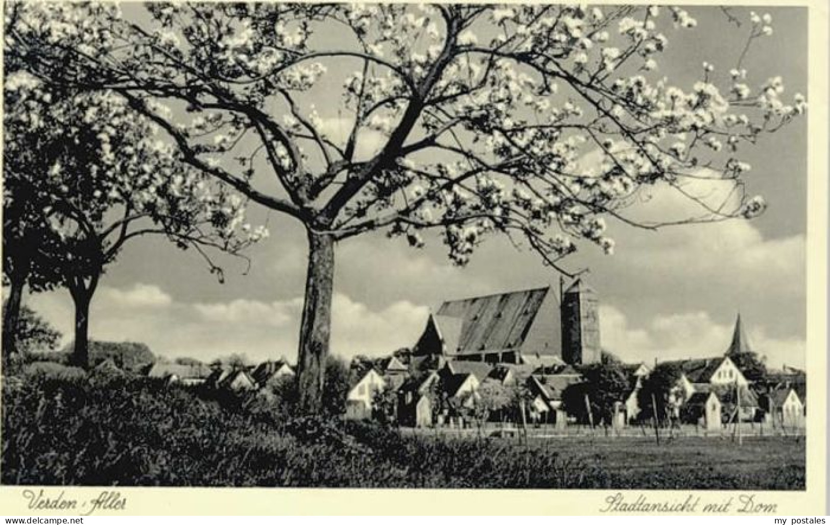 Verden Aller Verden Dom