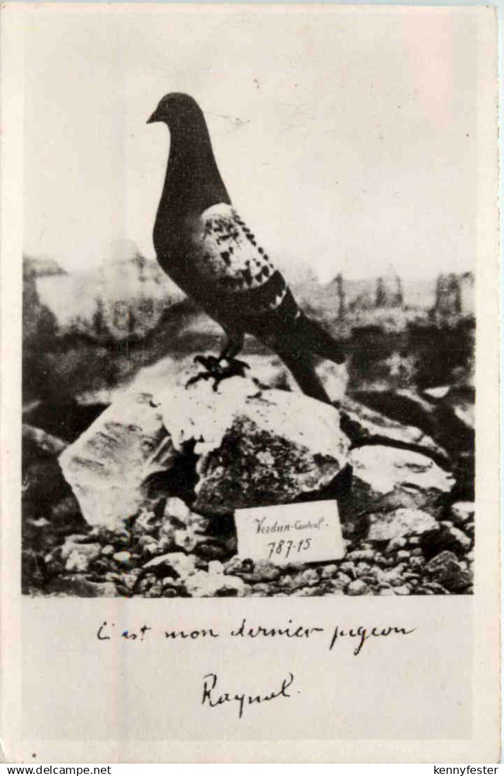 Verdun - Taube