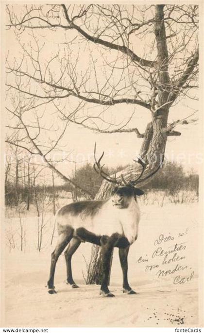 Juneau Alaska Rentier