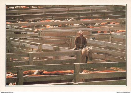[-10%] ETATS-UNIS - Amarillo - Troupeau au Corral - animé - cheval - cowboy - Carte Postale