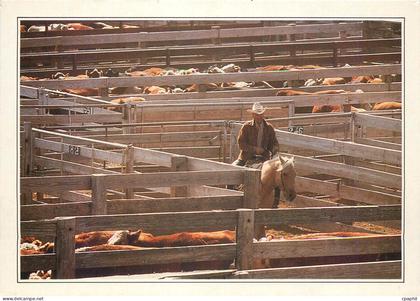 CPM Amarillo Cattle in the Corral