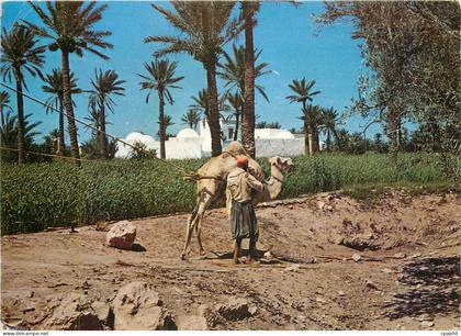 CPM Jerba Chameau