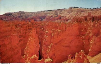 CPA Bryce Canyon National Park Utah