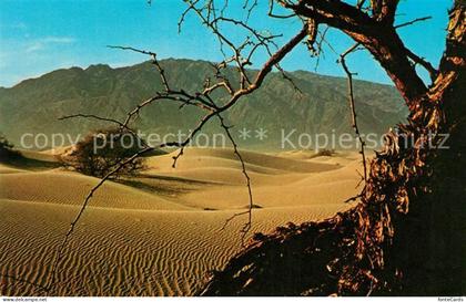 Death Valley Sandd&#252nen
