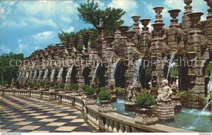 Clearwater Florida The Kapok Tree