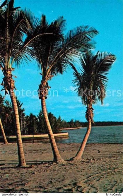 Palm Beach Coastline