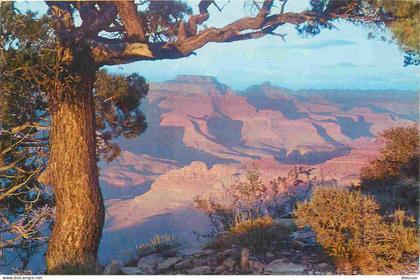 Carte Postale - États-Unis - Grand canyon - Sunset at arizona's grand canyon - red sunset glow on exposed points contras