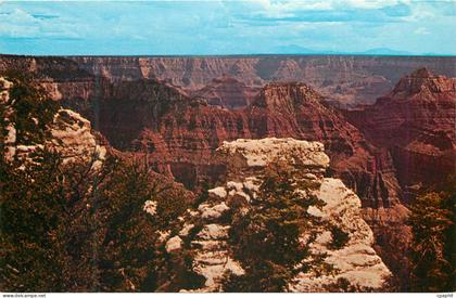 CPM Beautiful Grand Canyon Arizona