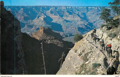 CPM Grand Canyon Arizona Bright Angel Trail