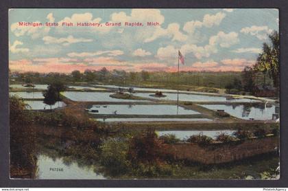Postcard, United States, Grand Rapids MI, Michigan State Fish Hatchery