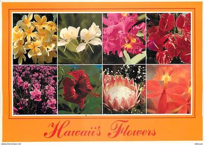Carte Postale - Etats Unis - Hawaï - Hawaï's flowers - Multivues - Fleurs - Etat de Hawaï - Hawaï State - CPM - Voir Tim