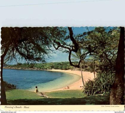 Maui - FlemmingsBeach