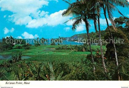 Maui Hawaii Keanae Point