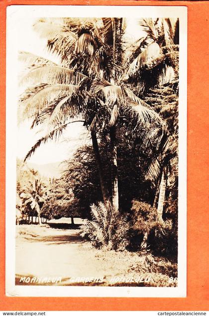 39513 (•◡•) Rare @ HONOLULU HI Hawaii USA ◉ MOANALUA Gardens 1910s ◉ Guenuine hand made Photograph BEAR S.Francisco