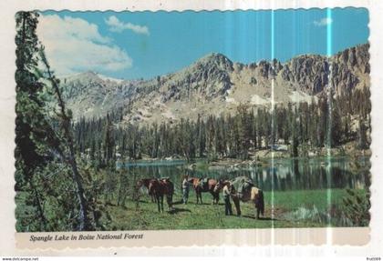 AK 273999 USA - Spangle Lake - Boise National Forest