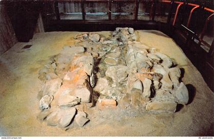 B351 US Jamestown Virginia Glasshouse Ruins vintage postcard