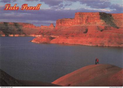 [-5%] ETATS UNIS - Arizona - Utah - Beautiful Lake Powell - Carte Postale