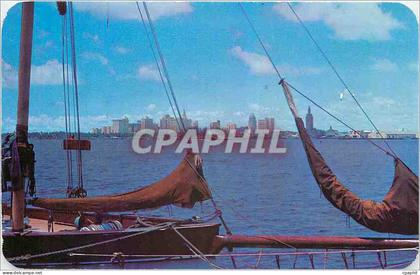 CPA Skyline of Miami Fla