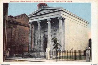 C117  Connecticut  New Haven Yale University  vintage postcard