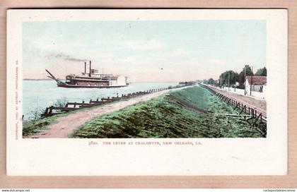 31779 /  ◉  NEW-ORLEANS Louisiana-LA The Levee at CHALMETTE Copyright 1900 By DETROIT PHOTOGRAPHIC Co N°5820
