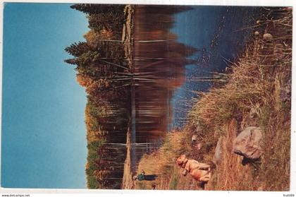 AK 253083 USA - Fishing in New Mexico