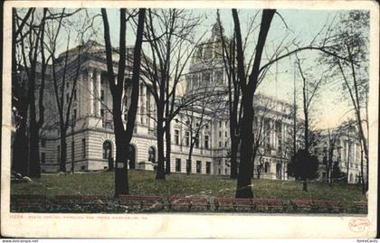 Harrisburg Pennsylvania State Capitol Throuch the Trees