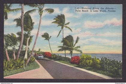 Vintage postcard USA Florida Palm Beach FL to Lake Worth Atlantic Drive Cars