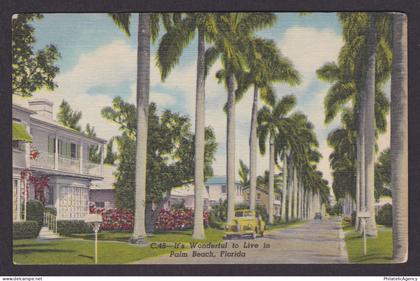 Vintage postcard USA Palm Beach FL Florida Residential Street Palms Car