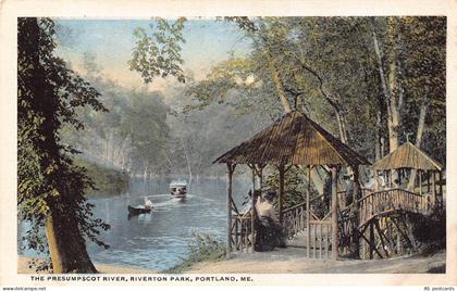 B519 US Presumpscot River Riverton Park Portland Maine vintage postcard
