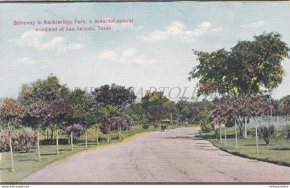 TEXAS - San Antonio, Driveway in Backenridge Park, Postcard