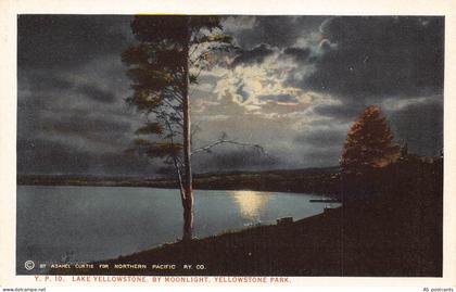 B311 US Lake Yellowstone by Moonlight Yellowstone park vintage postcard