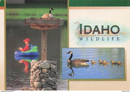 ETATS UNIS BOISE PARK CENTER POND