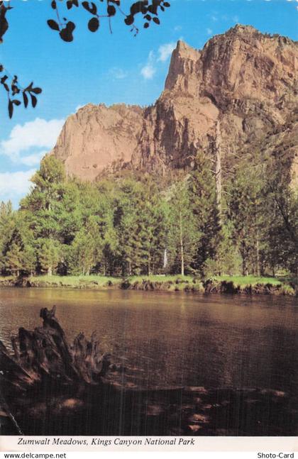 ETATS UNIS KINGS CANYON NATIONAL PARK SEQUOIA NATIONAL PARK