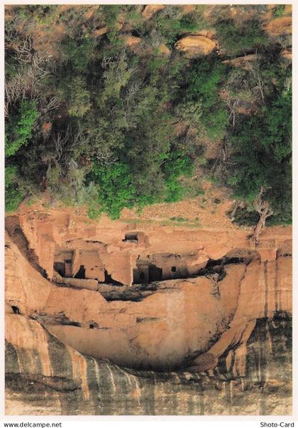 ETATS UNIS MESA VERDE OAK TREE HOUSE MESA VERDE NATIONAL PARK