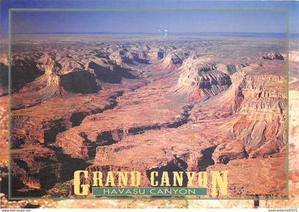 lot381 USA grand canyon havasu canyon