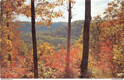 US2 USA Sunset point overlook Mammoth cave National Park Kentucky 1981 plane sta