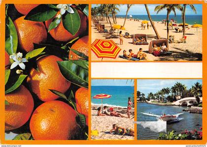 US7 USA Fl Florida 1998 orange county multi view