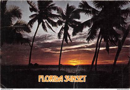 US8 USA FL Florida sunset Tropical coconut palms 1980