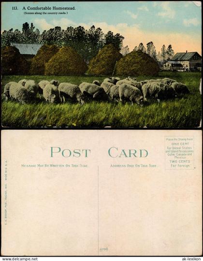 .USA United States of America A Comfortable Homestead. USA Farmer Bauern 1913