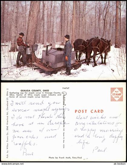 .USA United States of America GEAUGA COUNTY, OHIO USA Ahornsirup Ernte 1968