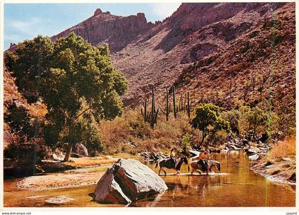 CPM Sabino Canyon Tucson Arizona