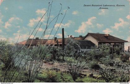 Desert Botanical Laboratory Tucson Arizona USA Old Postcard
