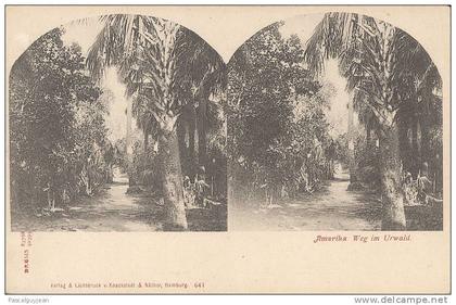 CPA STEREO AMERIKA - WEG IM URWALD