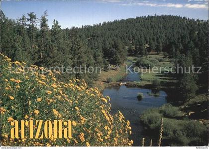 Arizona US-State White Mountains Little Colorado River