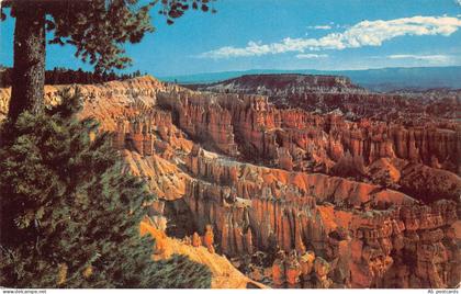 C118 Utah Zion Bryce Canyon    vintage postcard