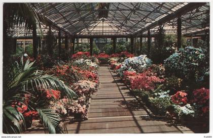 AK 227411 USA - Delaware - Longwood Gardens near Wilmington